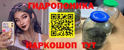 spice Тверь