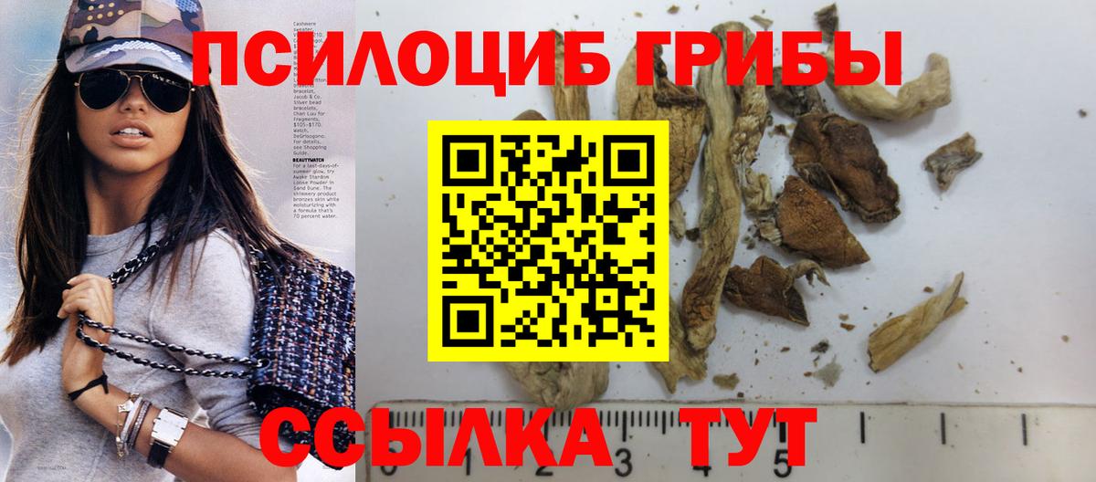 Галлюциногенные грибы Cubensis Можга
