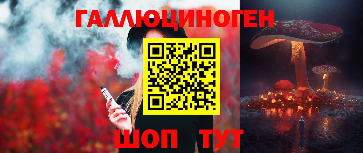 Можга  Псилоцибиновые грибы Psilocybine cubensis  Вход с VPN 